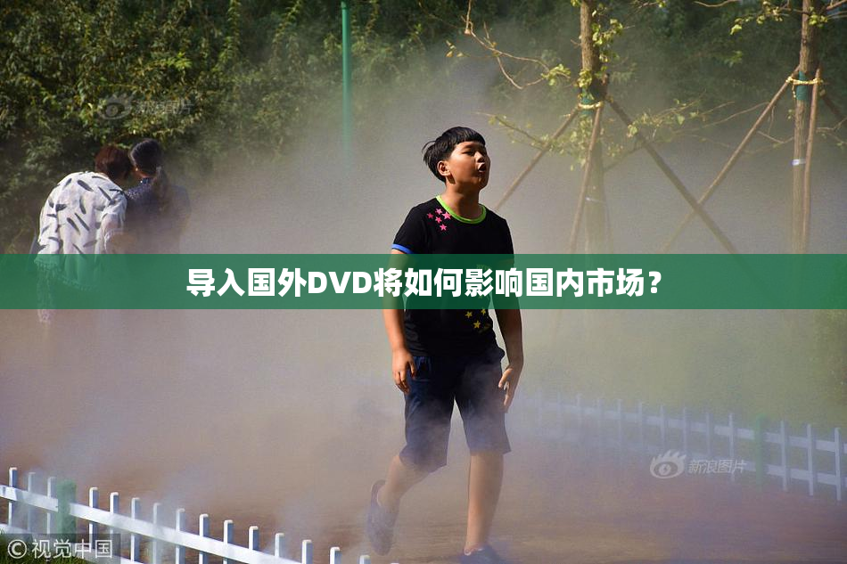 导入国外DVD将如何影响国内市场？