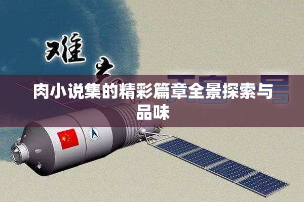 肉小说集的精彩篇章全景探索与品味