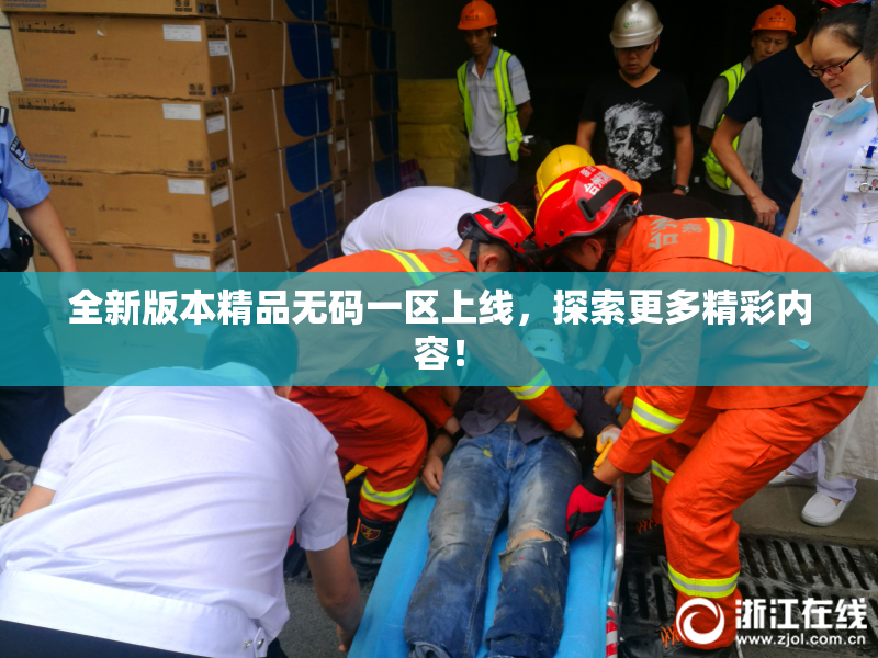 全新版本精品无码一区上线，探索更多精彩内容！