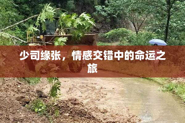 少司缘张，情感交错中的命运之旅