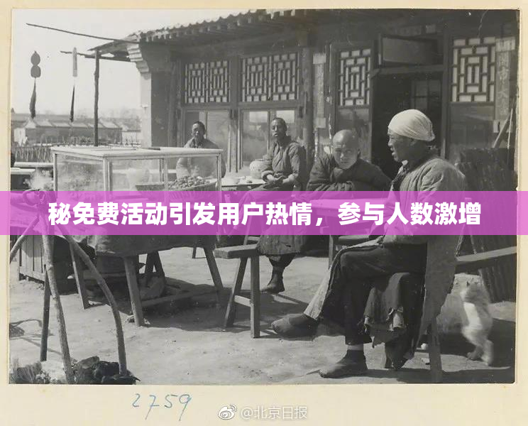 秘免费活动引发用户热情，参与人数激增