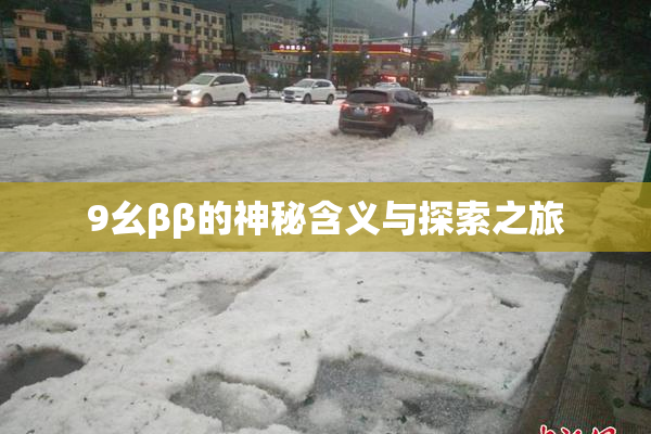 9幺ββ的神秘含义与探索之旅
