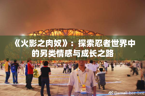 《火影之肉奴》：探索忍者世界中的另类情感与成长之路