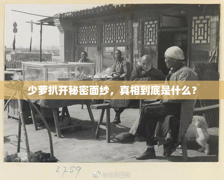 少萝扒开秘密面纱，真相到底是什么？