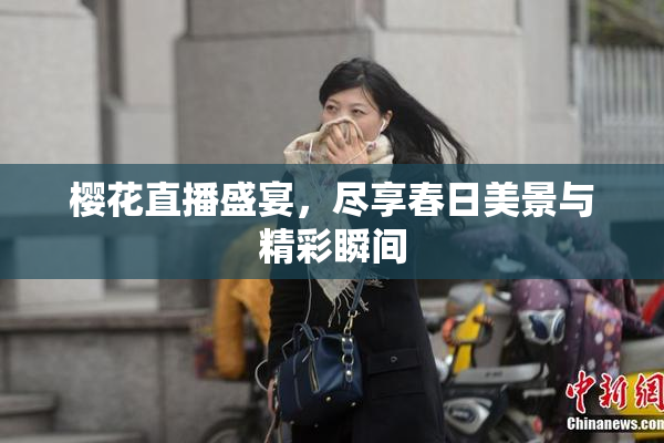 樱花直播盛宴，尽享春日美景与精彩瞬间