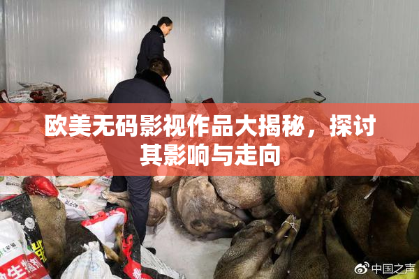 欧美无码影视作品大揭秘，探讨其影响与走向