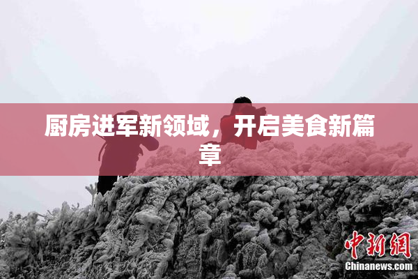 厨房进军新领域，开启美食新篇章