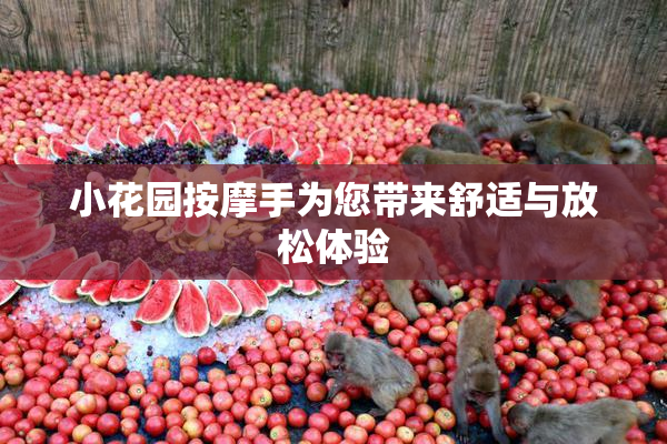小花园按摩手为您带来舒适与放松体验