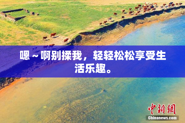 嗯～啊别揉我，轻轻松松享受生活乐趣。