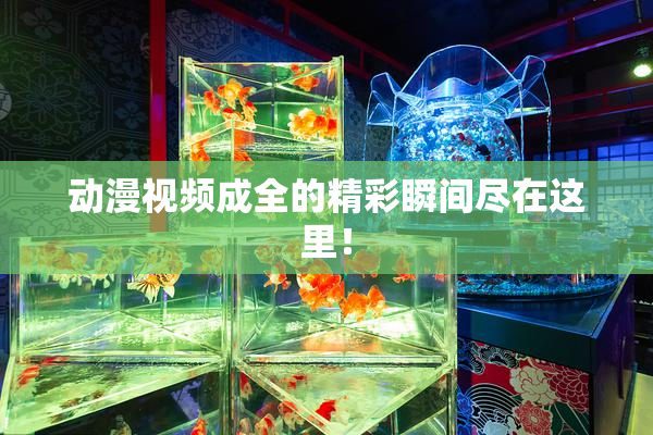动漫视频成全的精彩瞬间尽在这里！