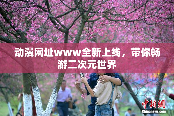 动漫网址www全新上线，带你畅游二次元世界