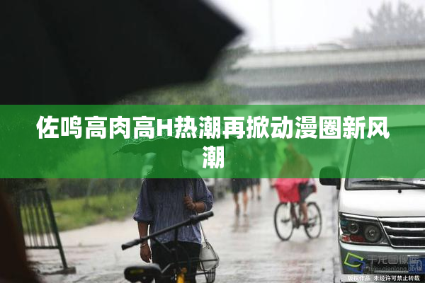 佐鸣高肉高H热潮再掀动漫圈新风潮