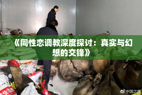 《同性恋调教深度探讨：真实与幻想的交锋》