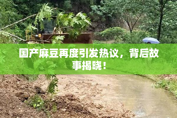 国产麻豆再度引发热议，背后故事揭晓！