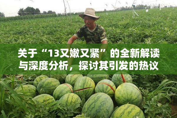 关于“13又嫩又紧”的全新解读与深度分析，探讨其引发的热议话题！