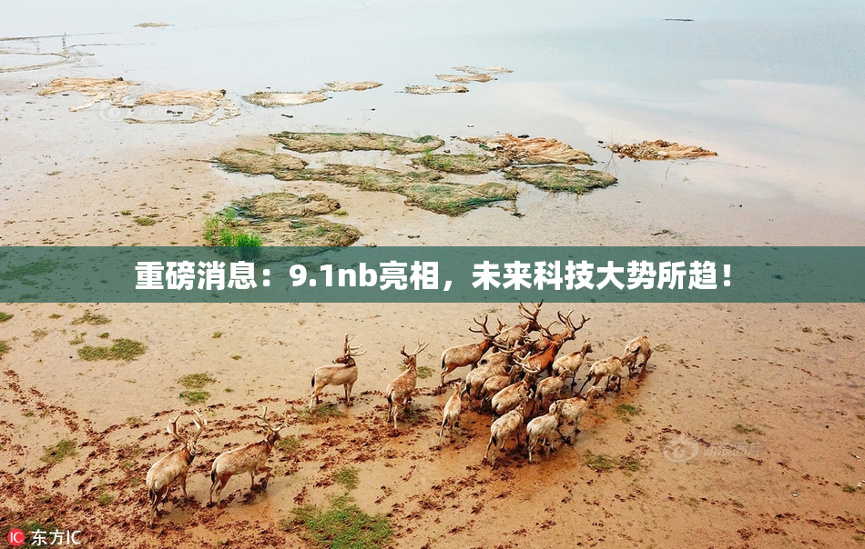 重磅消息：9.1nb亮相，未来科技大势所趋！