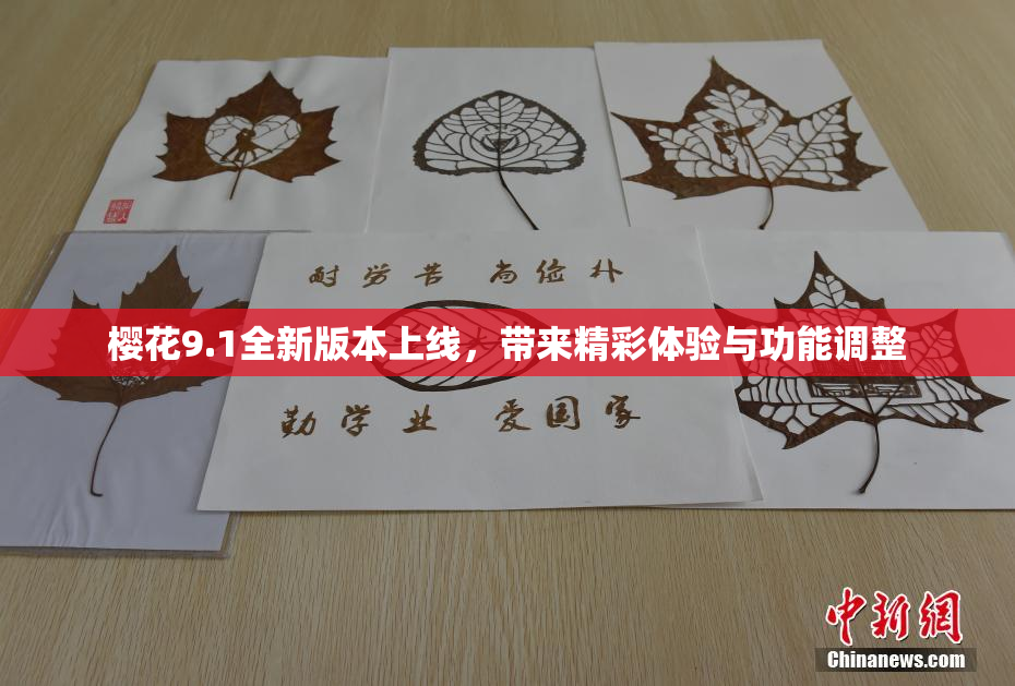 樱花9.1全新版本上线，带来精彩体验与功能调整