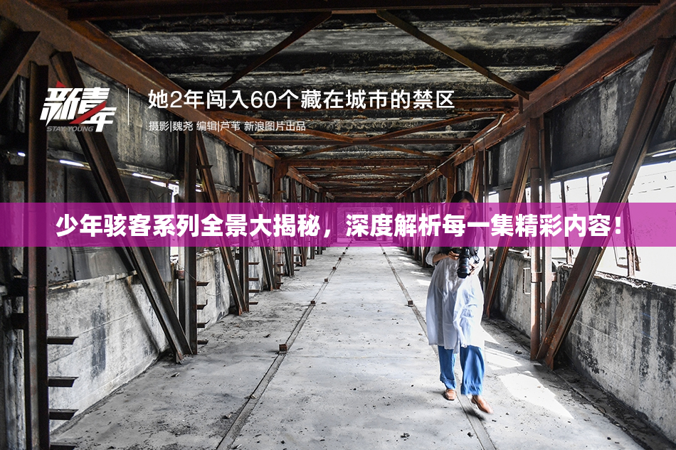 少年骇客系列全景大揭秘，深度解析每一集精彩内容！