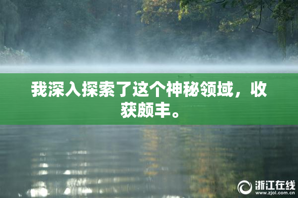 我深入探索了这个神秘领域，收获颇丰。