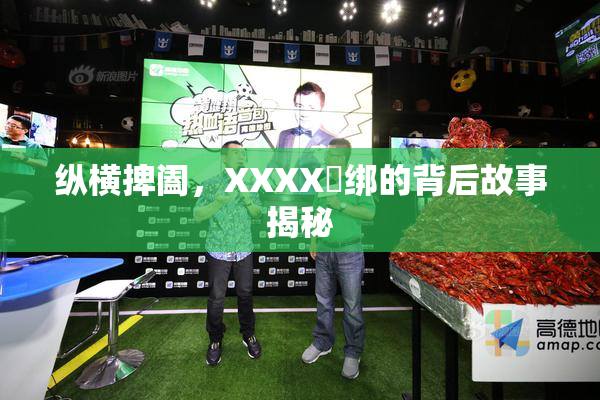 纵横捭阖，XXXX秵绑的背后故事揭秘