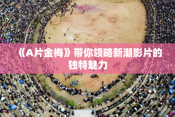 《A片金梅》带你领略新潮影片的独特魅力