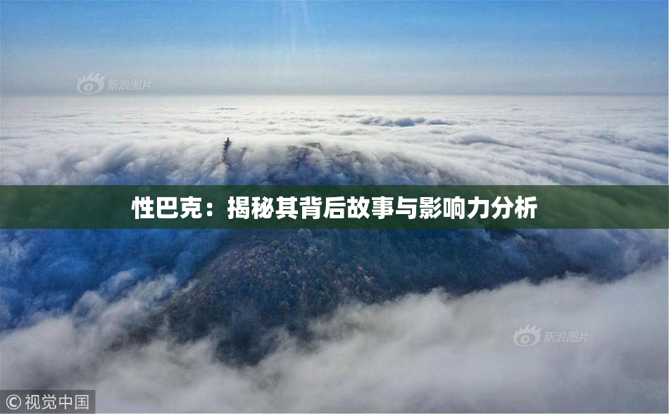 性巴克：揭秘其背后故事与影响力分析