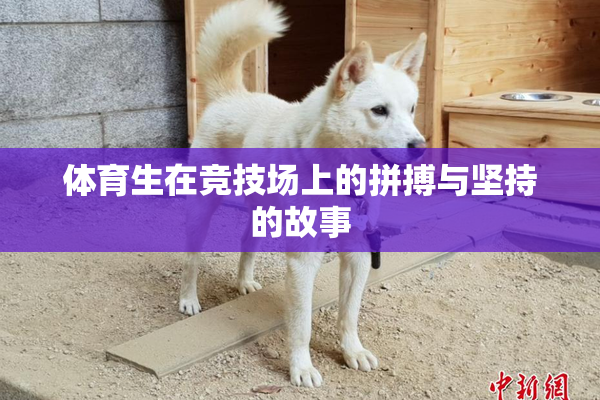 体育生在竞技场上的拼搏与坚持的故事