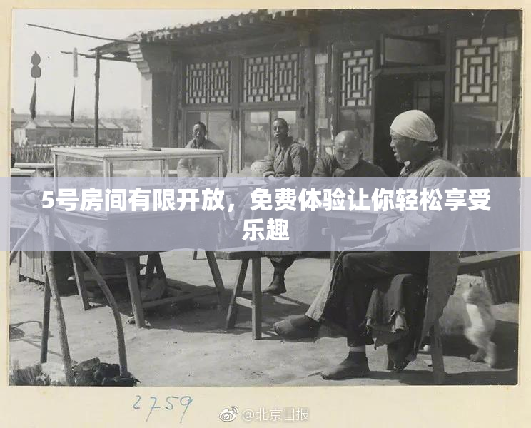 5号房间有限开放，免费体验让你轻松享受乐趣