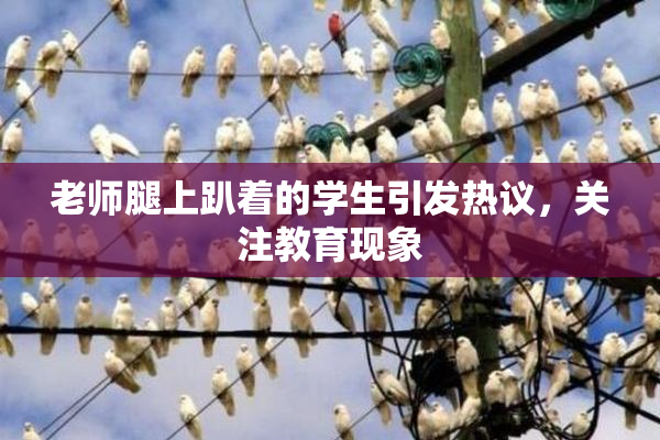 老师腿上趴着的学生引发热议，关注教育现象