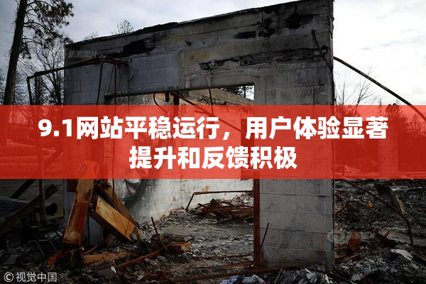 9.1网站平稳运行，用户体验显著提升和反馈积极