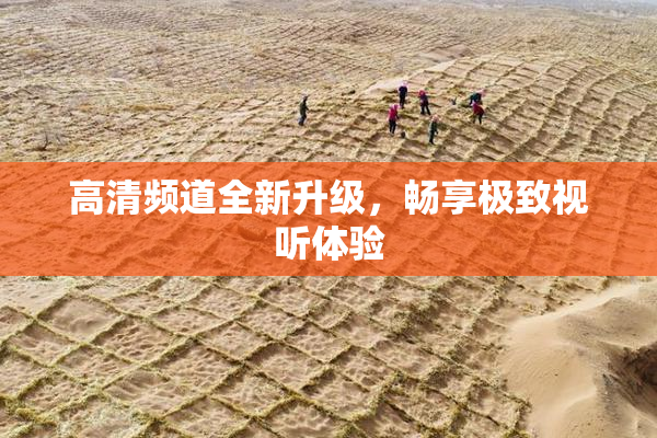 高清频道全新升级，畅享极致视听体验