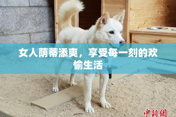 女人荫蒂添爽，享受每一刻的欢愉生活