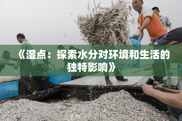 《湿点：探索水分对环境和生活的独特影响》