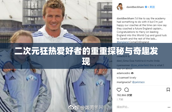 二次元狂热爱好者的重重探秘与奇趣发现