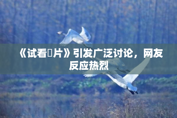 《试看婬片》引发广泛讨论，网友反应热烈