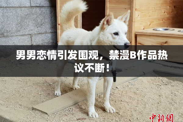 男男恋情引发围观，禁漫B作品热议不断！