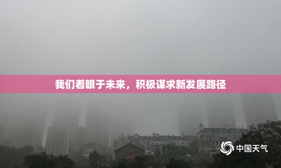我们着眼于未来，积极谋求新发展路径