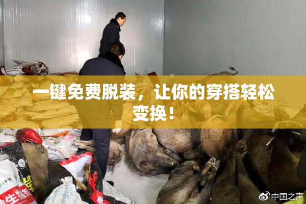 一键免费脱装，让你的穿搭轻松变换！