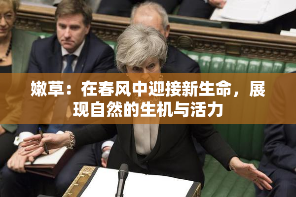 嫩草：在春风中迎接新生命，展现自然的生机与活力
