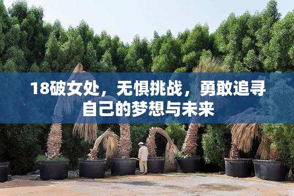 18破女处，无惧挑战，勇敢追寻自己的梦想与未来