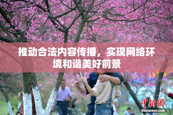 推动合法内容传播，实现网络环境和谐美好前景