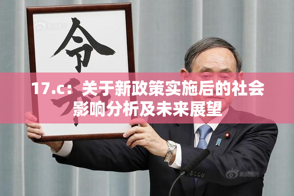 17.c：关于新政策实施后的社会影响分析及未来展望