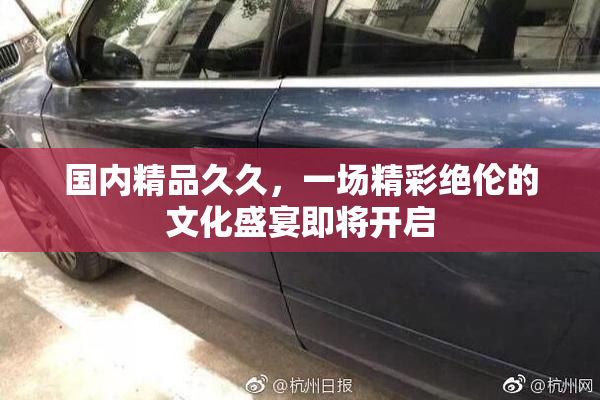 国内精品久久，一场精彩绝伦的文化盛宴即将开启