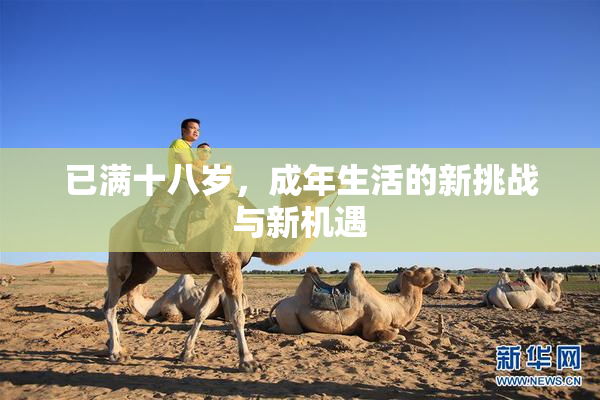 已满十八岁，成年生活的新挑战与新机遇