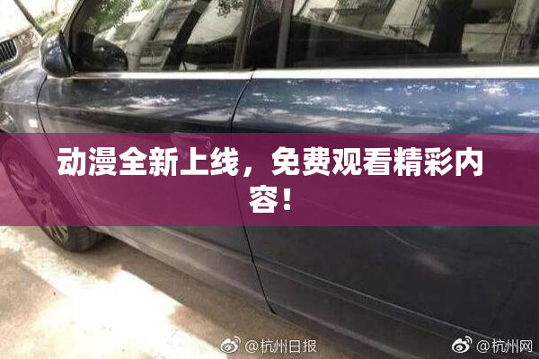 动漫全新上线，免费观看精彩内容！