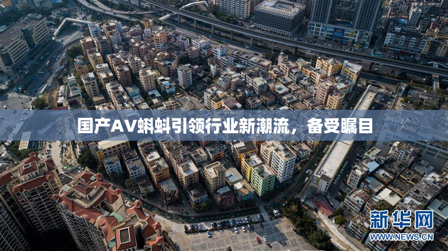 国产AV蝌蚪引领行业新潮流，备受瞩目