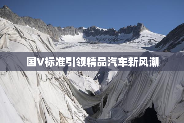 国V标准引领精品汽车新风潮
