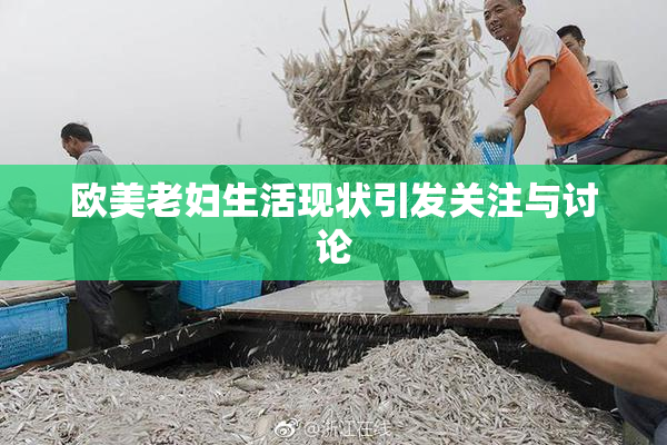 欧美老妇生活现状引发关注与讨论