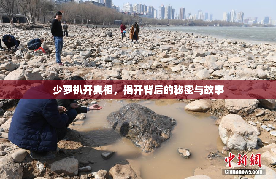 少萝扒开真相，揭开背后的秘密与故事