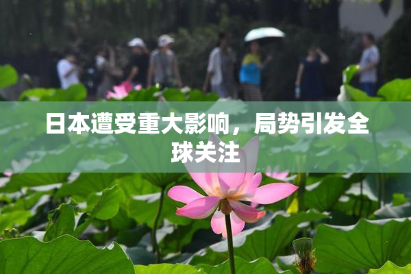 日本遭受重大影响，局势引发全球关注